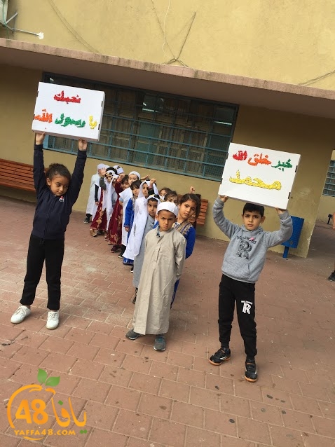 zhra2 ibtidiya2a (5).JPG